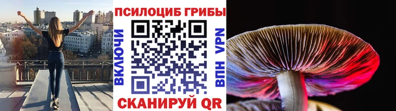 Галлюциногенные грибы GOLDEN TEACHER  Ростов 